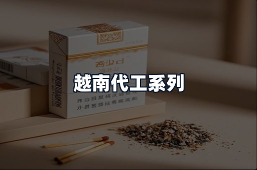 越南代工系列